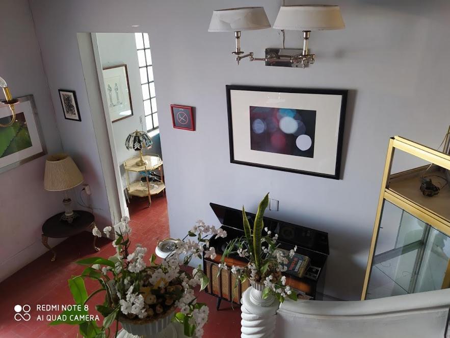 Casa Atenas (Adults Only) グアダラハラ エクステリア 写真
